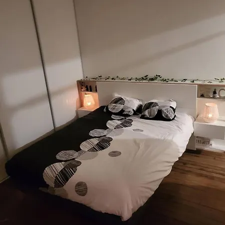 T2 Cosy Autonome H24 Parking Prive Attenant Tv 165Cm Netflix Wi-Fi Au Rez-De-Chaussee Alençon Buitenkant foto